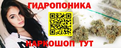 apvp Рузаевка