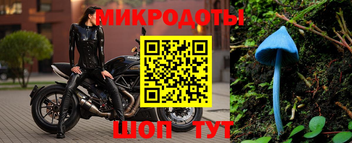 Галлюциногенные грибы прущие грибы  Вход с VPN  Новосибирск 