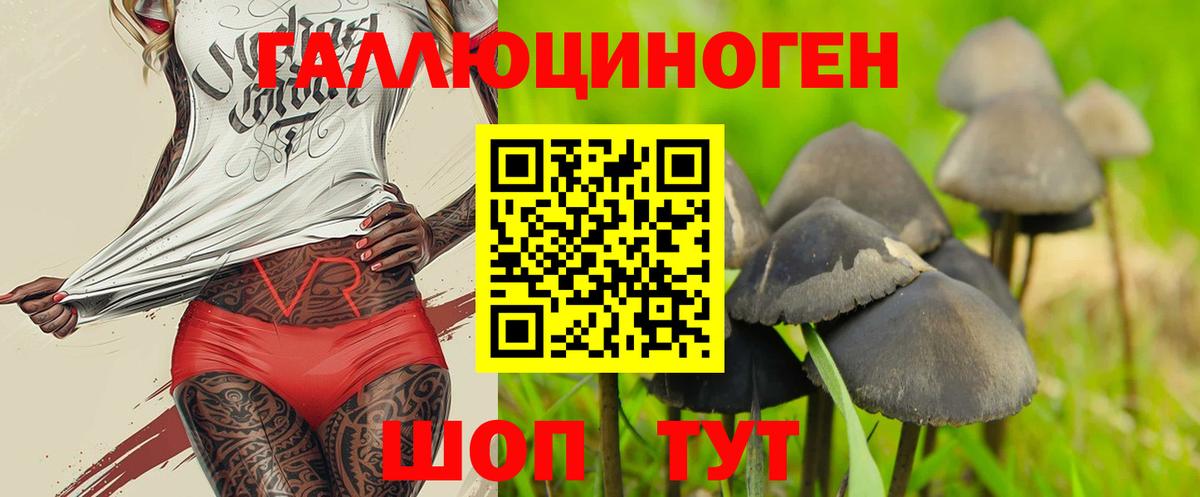Псилоцибиновые грибы прущие грибы Новосибирск